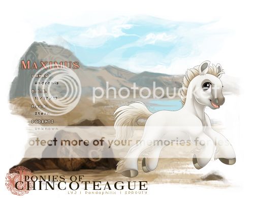 User Image